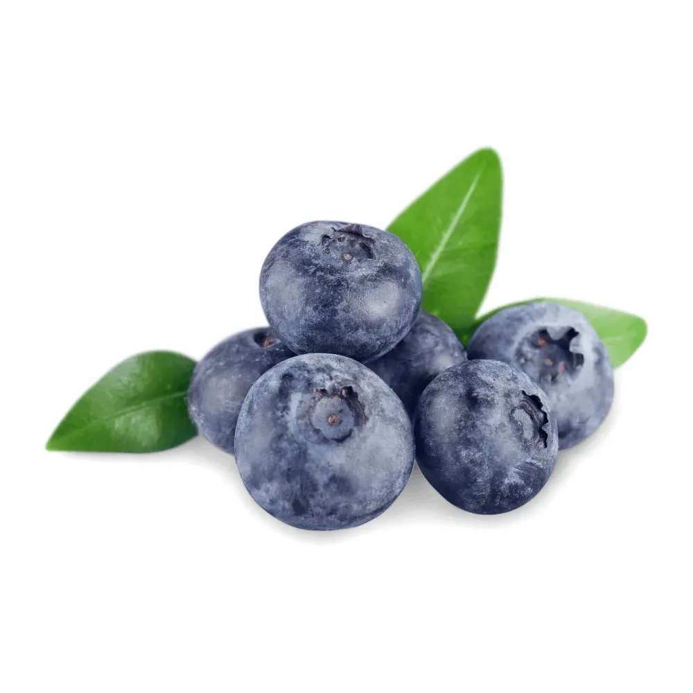 Peru’s Fresh Blueberry - Imported (125 gm)