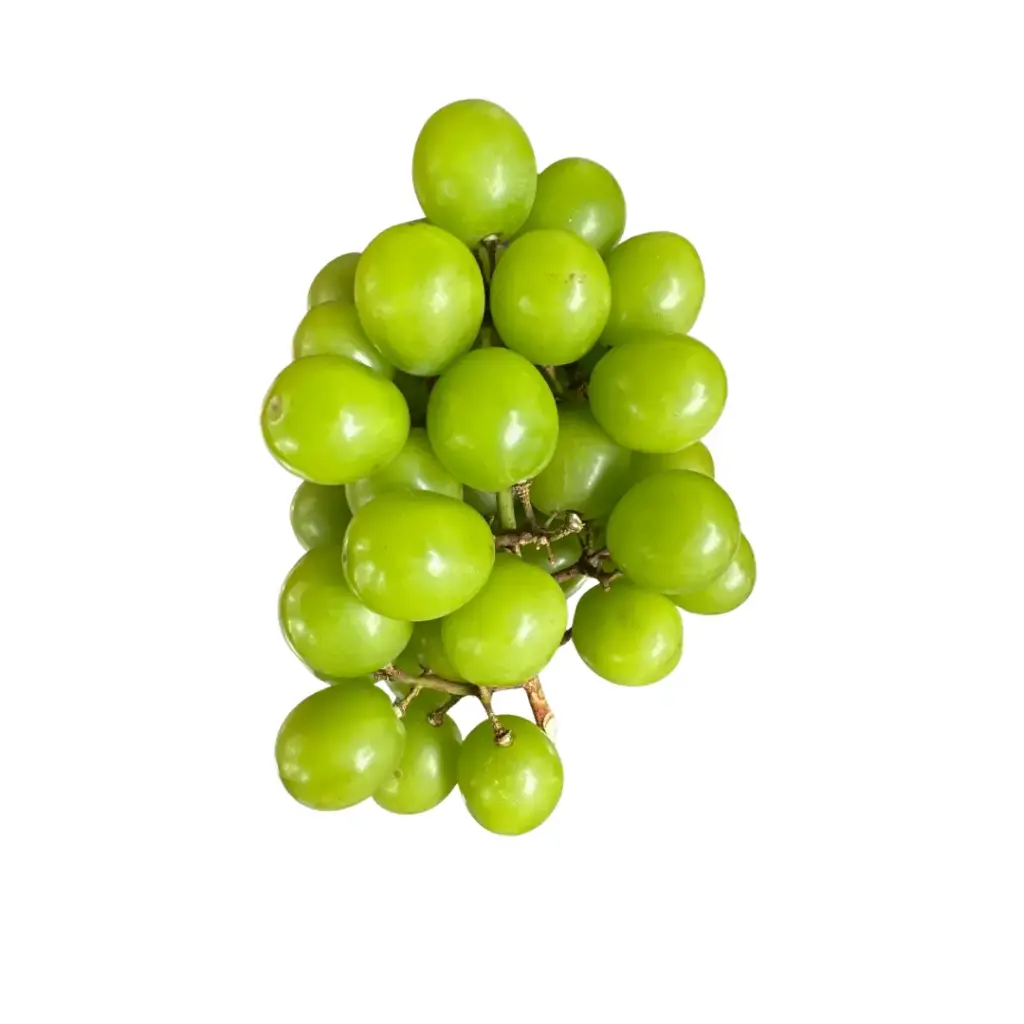 Muscat Green Grapes Seedless- Imported (500 gm)