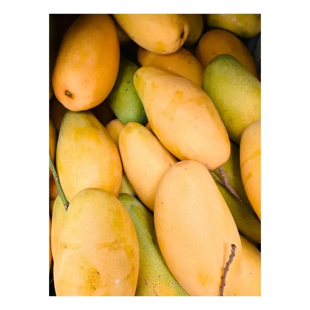 Fresh Golden Dasheri Mango (1 Dozen)